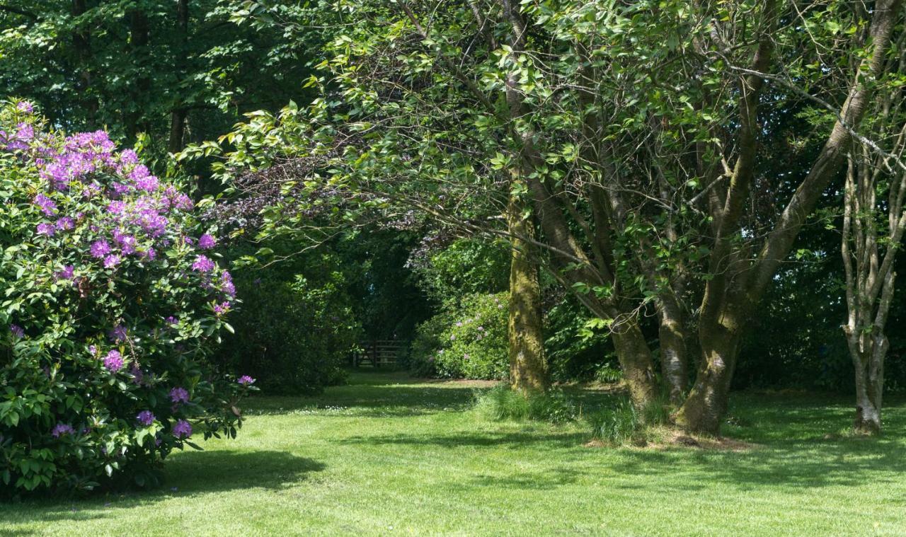 Blacket House Pension Eaglesfield Buitenkant foto